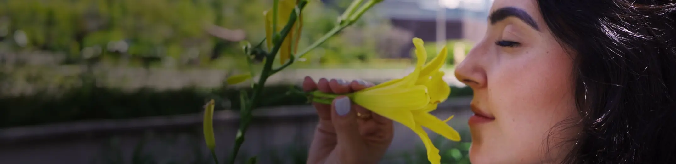 ¿Cómo sientes la IU Digital de Antioquia? ¿Cómo sientes la IU Digital de Antioquia?
